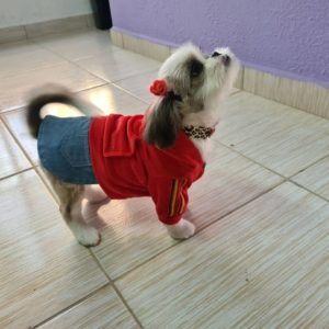 pet shop baeta neves sbc