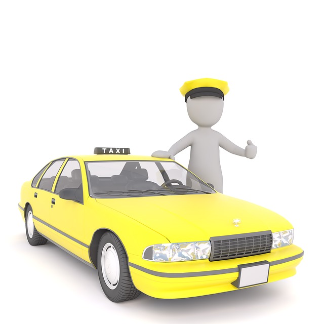 taxi dog carro