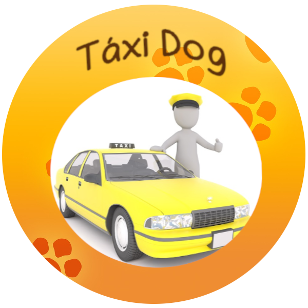 pet shop sbc taxi dog