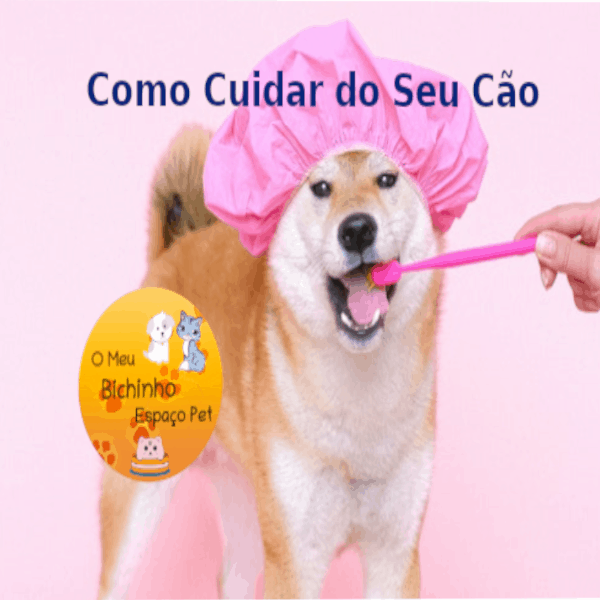 11 dicas de como cuidar do seu cao