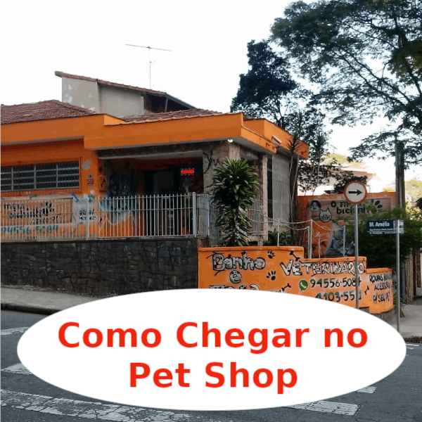 Pet Shop em SBC
