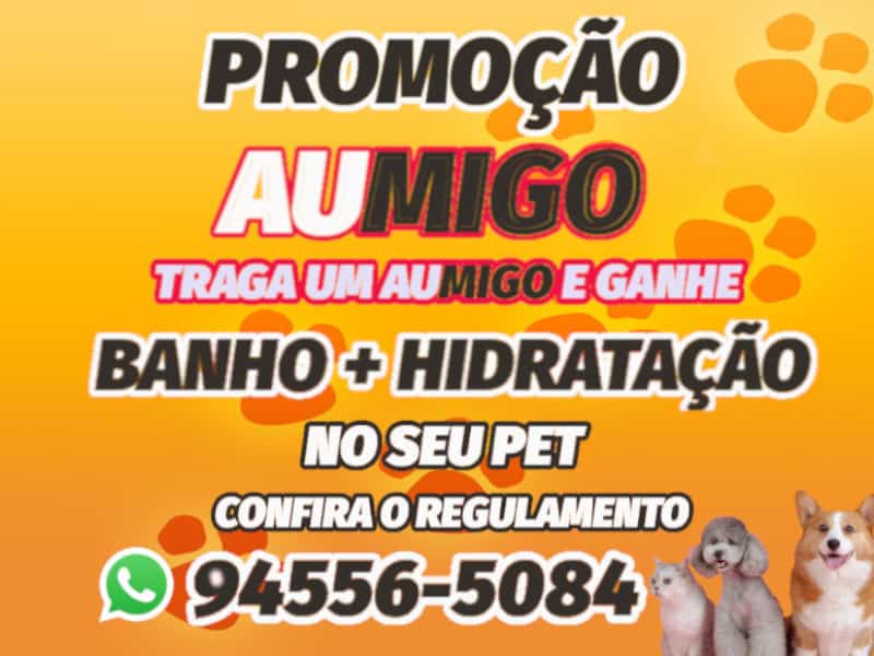 banho e tosa promocao traga um amigo