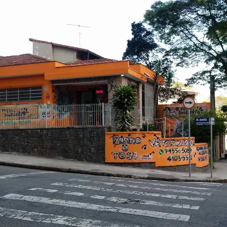 pet shop vila damasio sbc