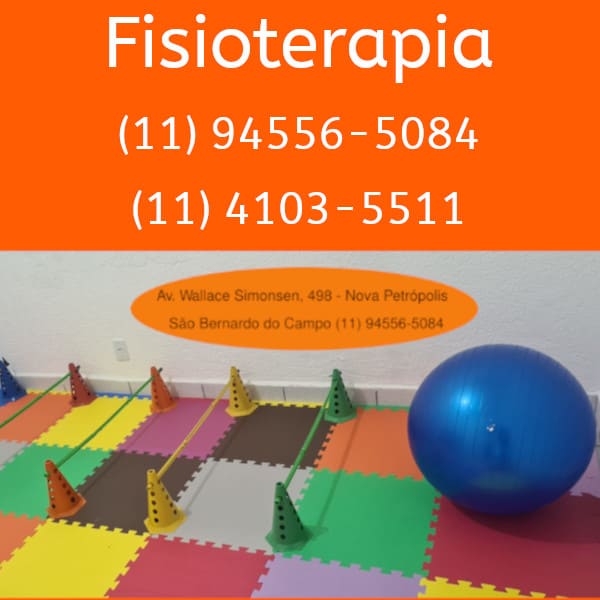 fisioterapia veterinaria sbc