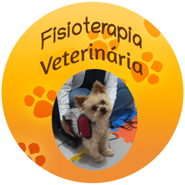 fisioterapia