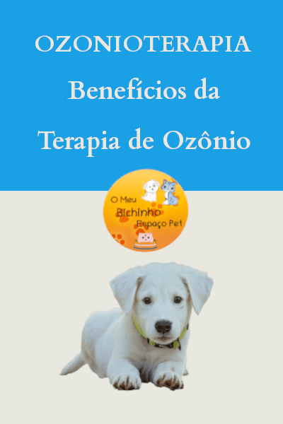 terapia de ozonio veterinaria