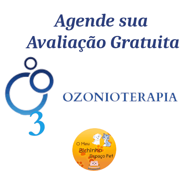 OZONIOTERAPIA EM ANIMAIS em saobernardocampao