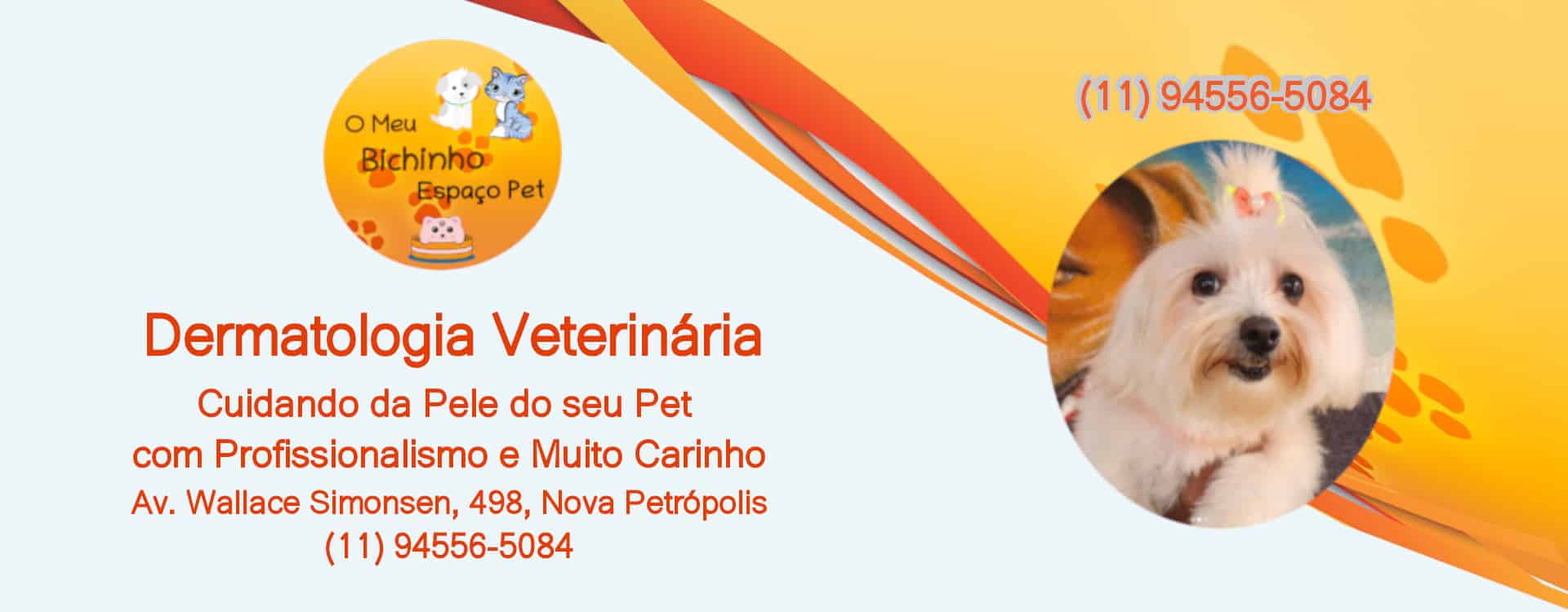 esteira aquática para cães SBC