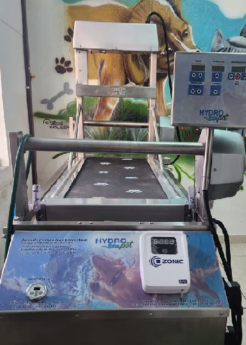 esteira aquática para cães